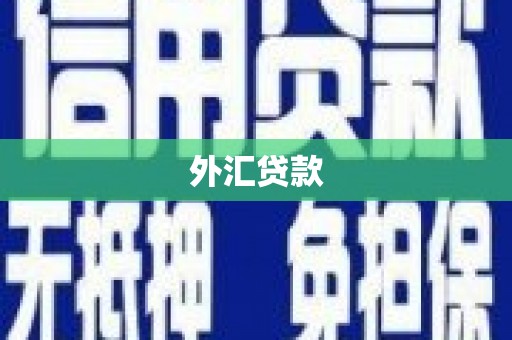 安庆外汇贷款