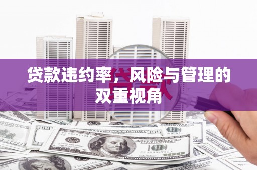 安庆贷款违约率，风险与管理的双重视角