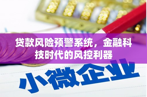 安庆贷款风险预警系统，金融科技时代的风控利器