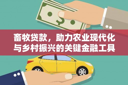 安庆畜牧贷款，助力农业现代化与乡村振兴的关键金融工具