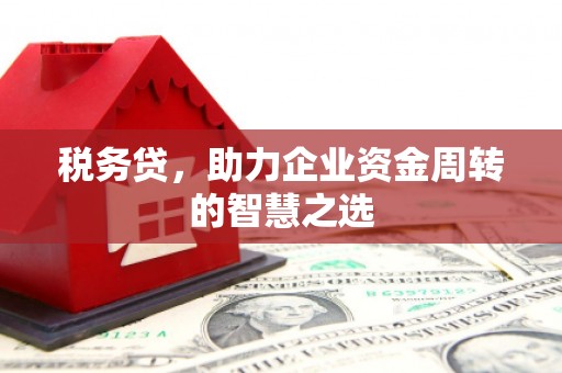 安庆税务贷，助力企业资金周转的智慧之选