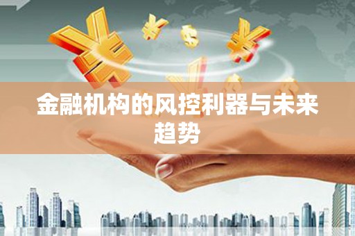 安庆金融机构的风控利器与未来趋势