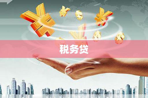 安庆税务贷