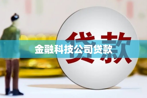 安庆金融科技公司贷款