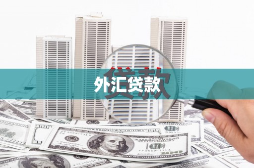 安庆外汇贷款