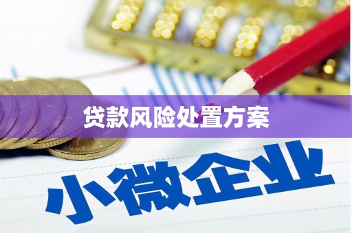 安庆贷款风险处置方案