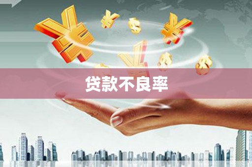安庆贷款不良率