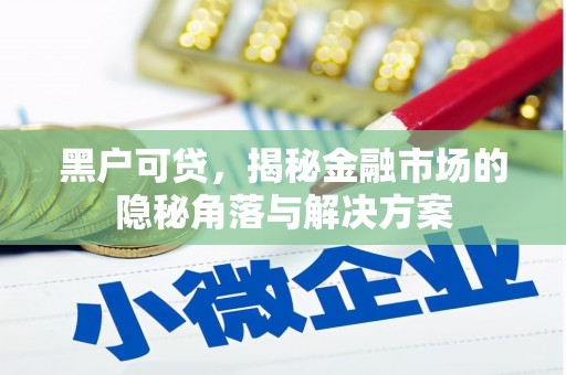 安庆黑户可贷，揭秘金融市场的隐秘角落与解决方案