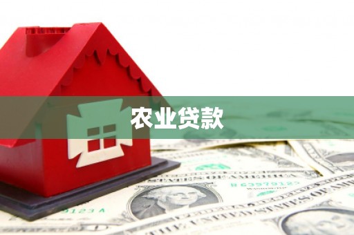 安庆农业贷款