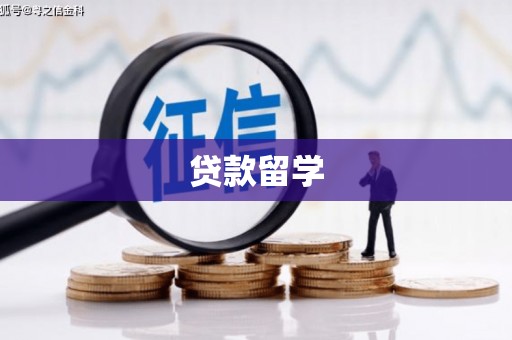 安庆贷款留学