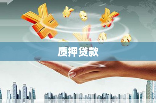 安庆质押贷款