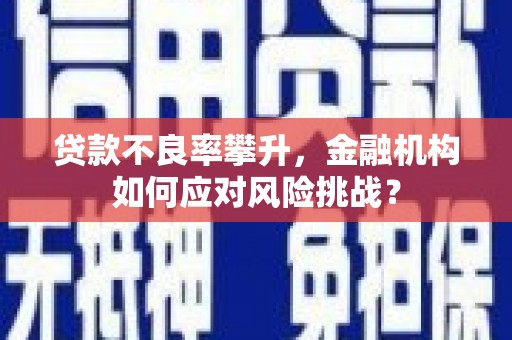 安庆贷款不良率攀升，金融机构如何应对风险挑战？