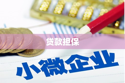 安庆贷款担保