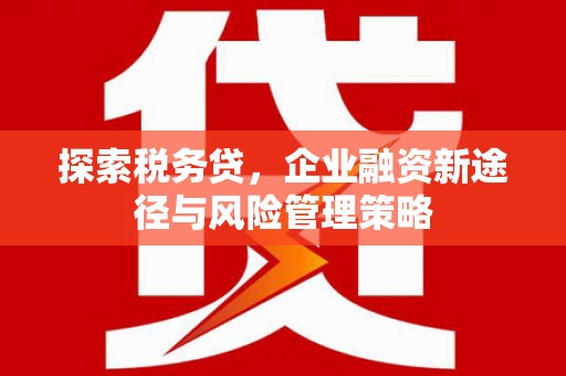 安庆探索税务贷，企业融资新途径与风险管理策略