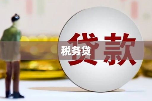 安庆税务贷