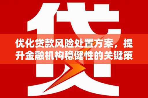 安庆优化贷款风险处置方案，提升金融机构稳健性的关键策略