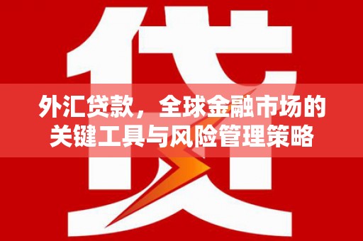 安庆外汇贷款，全球金融市场的关键工具与风险管理策略