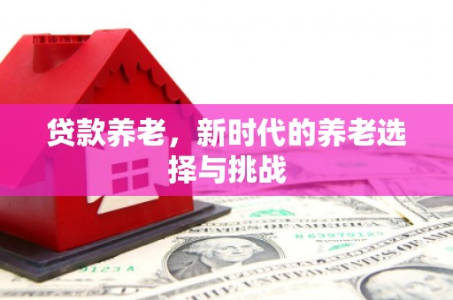 安庆贷款养老，新时代的养老选择与挑战