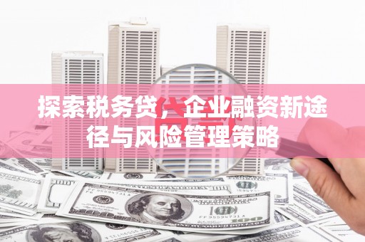 安庆探索税务贷，企业融资新途径与风险管理策略
