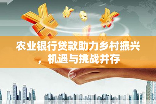 安庆农业银行贷款助力乡村振兴，机遇与挑战并存