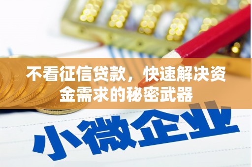 安庆不看征信贷款，快速解决资金需求的秘密武器