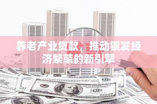 安庆养老产业贷款，推动银发经济繁荣的新引擎