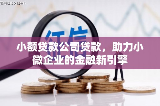 安庆小额贷款公司贷款，助力小微企业的金融新引擎