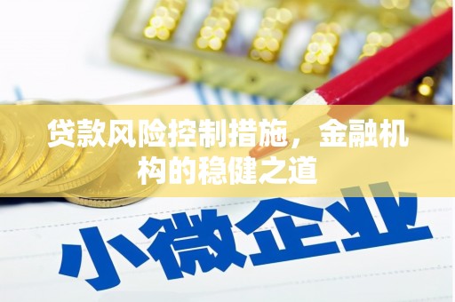 安庆贷款风险控制措施，金融机构的稳健之道