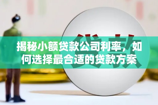 安庆揭秘小额贷款公司利率，如何选择最合适的贷款方案