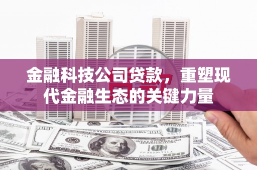 安庆金融科技公司贷款，重塑现代金融生态的关键力量