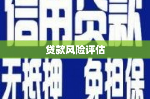 安庆贷款风险评估