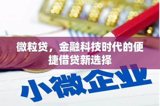 安庆微粒贷，金融科技时代的便捷借贷新选择