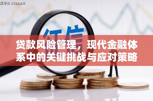 安庆贷款风险管理，现代金融体系中的关键挑战与应对策略