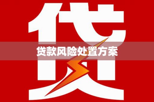 安庆贷款风险处置方案