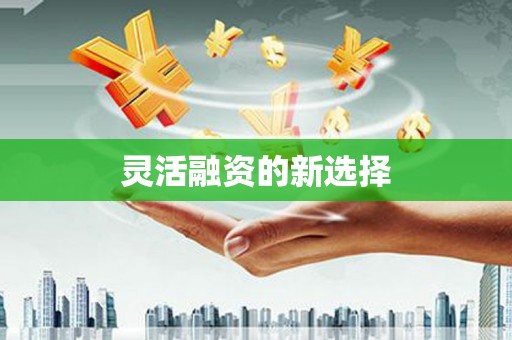 安庆灵活融资的新选择