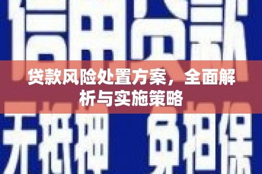 安庆贷款风险处置方案，全面解析与实施策略