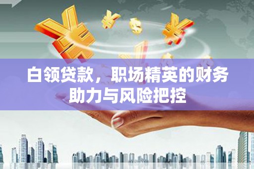 安庆白领贷款，职场精英的财务助力与风险把控